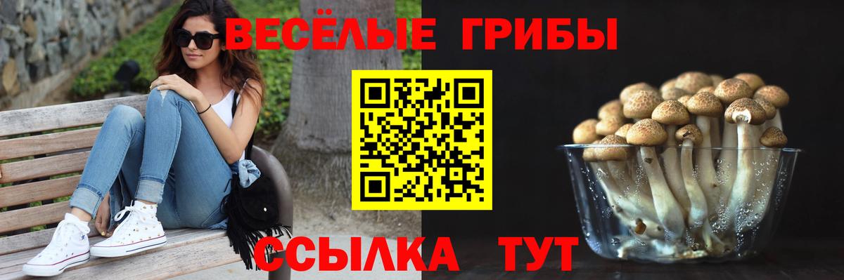 Псилоцибиновые грибы Psilocybe Аша